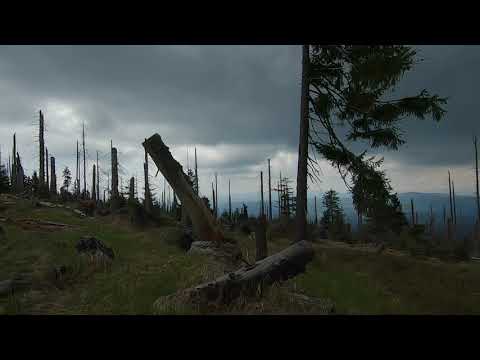 Wandern zum Großen Rachel im Bayerischen Wald
