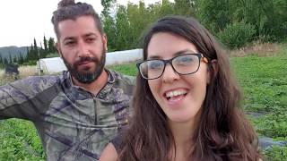 Che prodotti si utilizzano in agricoltura Biologica per le malattie delle piante?