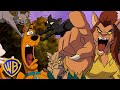 Scooby Doo En Latino Cats Vs Dogs WB Kids
