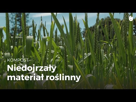 Kompost - Co to jest zielony materiał kompostowy?