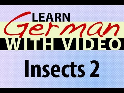 Learn German with Video Common Animals