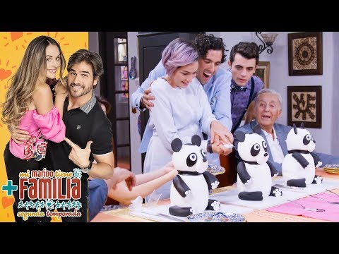 The Bears Discover the Sex of Their Babies | My Husband Has More Family | Televisa