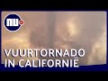 Vuurtornado trekt door natuurgebied in Californië | NU.nl