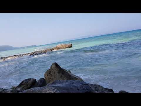 #kalapatthar beach🦑🐚🐙🐳🐡🦈🐠🐋