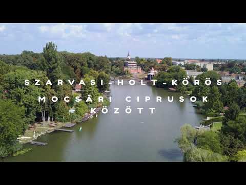 Mocsári ciprusok között a Szarvasi(Holt)-Körösön