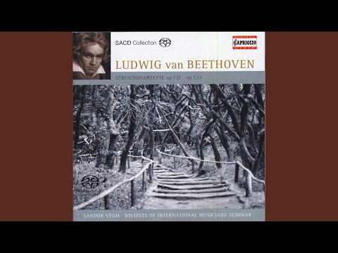 String Quartet No. 14 in C-Sharp Minor, Op. 131 (arr. for string orchestra) : I. Adagio, ma non...