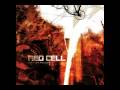 Red Cell - Shine 