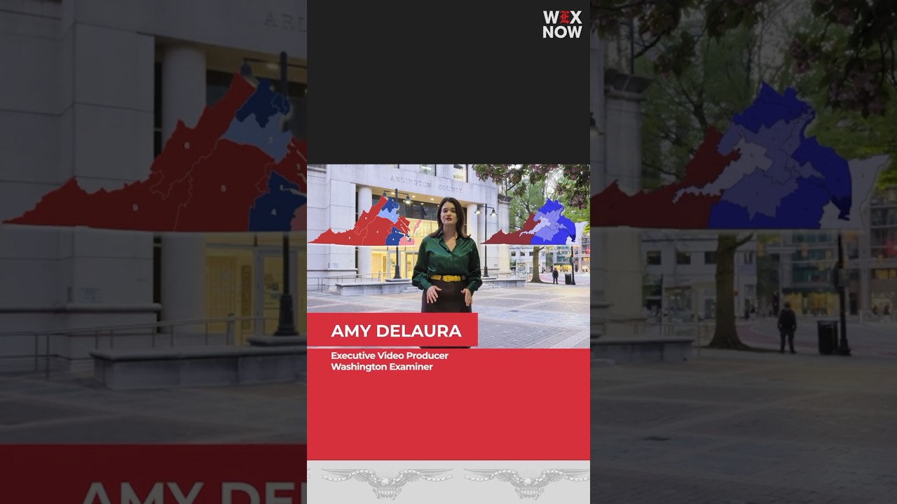 “Purposely” confusing ballot language in Virginia redistricting