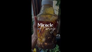 Viral Video | Miracle Honey - Flu, Cold, Allergies, Asthma, Sinus Infection, Bronchitis & MORE