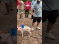 Homepage 13 Video thumbnail