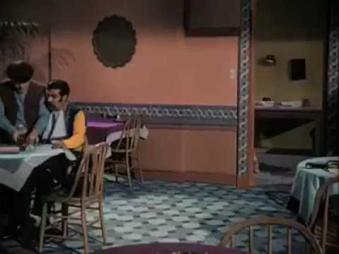 Vídeos graciosos 2017