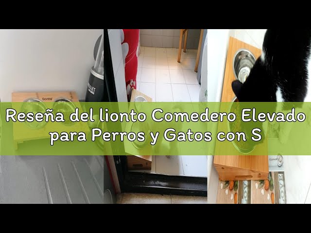 Vídeo relacionado con lionto Comedero Elevado para Perros y Gatos con Soporte de bambú Comedero y Bebedero con Soporte Elevado Barra para Mascotas