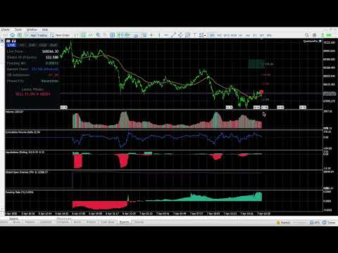 Video Quantum Terminal Pro