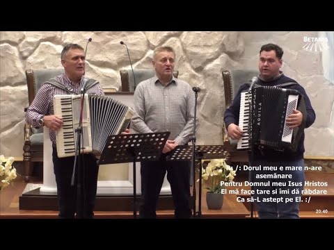 Ilie Puha & frații - Caut o țară, în care dorul nu mai e