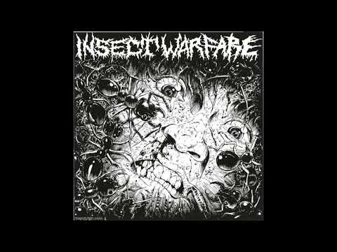 Insect Warfare / Carcass Grinder - Split 7" Full EP