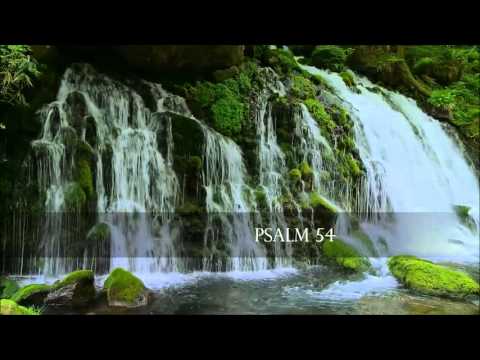 Psalm 54 - Gott, erhöre mein Gebet!