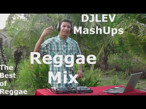 REGGAE MIX 2022 VOL. 1 | Collie Buddz, Chronixx, Christopher Martin, Busy Signal (DJ Lev MashUps)