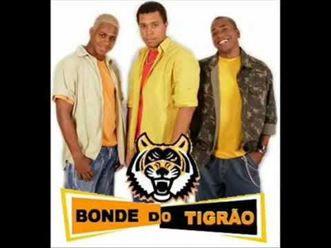 Bonde Do Tigrão  - quer dançar?