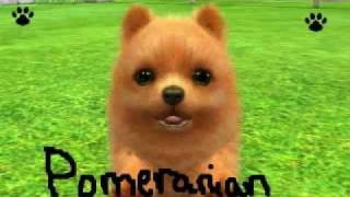 Nintendogs+Cats: Starting Dog breeds of the 3 versions