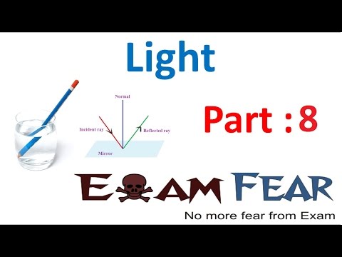 Lateral Inversion Video Lecture - Science Class 8