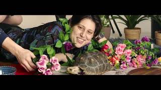 Mal Blum - Things Still Left To Say (Official Video)