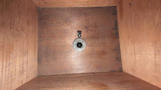 7 - The Pendant