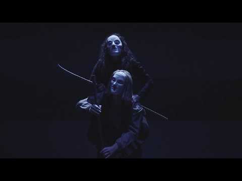 The Cat and the Moon