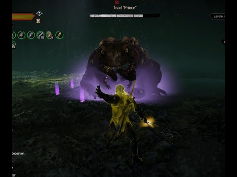 Death March Toad Prince Vs Griffin Armor Build Best Technique [No Damage] Witcher 3
