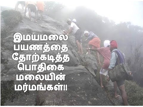 தமிழகத்தின் இமயமலை / Fact of Agasthiyar hill(Tamil) / Pothigai malai