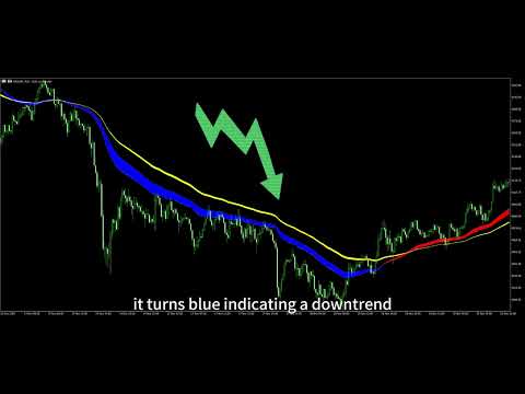 Video Dynamic Trend Fill Pro