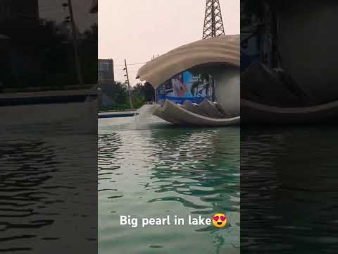 😍😍 #music#viral#shortsfeed #song#beach