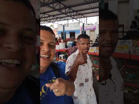 FEIRA DE SANTA INÊS BAHIA #shorts #feira #santainês #bahia #turismo #entretenimento #alegría #humor