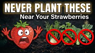 NEVER Plant These 7 Plants Near Your Strawberries! 🍓