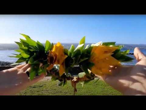 COROE TODOS!!! Como fazer o estilo Lei Po'o Haku com folhas de Lauhala e Ti #GetchoWeaveOn #weaving