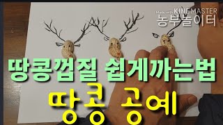 땅콩껍질쉽게까는법 땅콩껍질 공예 How to Peanut Peel Easy, Peanut Peel Craft