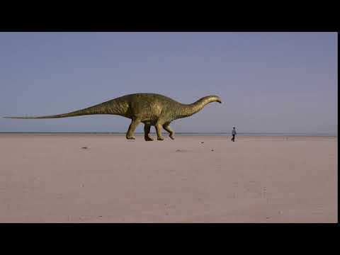 Animated Video Of A Dinosaur - Free Stock Creative Commons Video