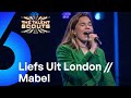Liefs Uit London (BLØF cover) // Mabel | The Talent Scouts