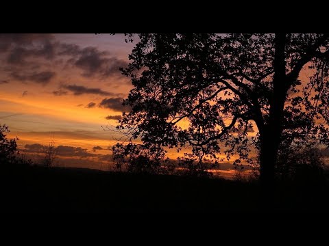 From Within video thumbnail