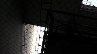 platform79 - the berlin project