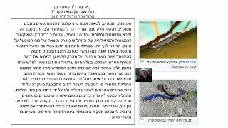 דף יומי מסכת בבא בתרא דף קמב Daf yomi Masechet Bava Batra page 142  ע"י יוני גוטמן (שיעורי הדף היומי ב-20 דקות - מועבר ע"י ר' יוני גוטמן - לעילוי נשמת אביו ר' אלימלך צבי (צביקה) גוטמן ז"ל) - התמונה מוצגת ישירות מתוך אתר האינטרנט יוטיוב. זכויות היוצרים בתמונה שייכות ליוצרה. קישור קרדיט למקור התוכן נמצא בתוך דף הסרטון