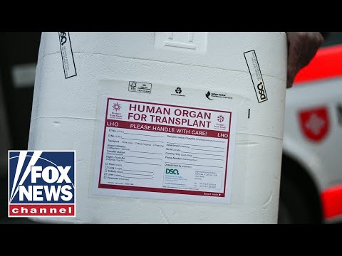 'HORRIFYING': Mishandled organ donations triggers call for reform