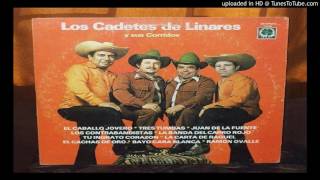 Los Originales Cadetes de Linares  Y Sus Corridos