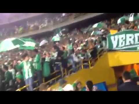 "Bogota Verdolaga 2014 Equidad vs Nacional" Barra: Nación Verdolaga &bull; Club: Atlético Nacional