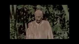 Parasite - Zombie Holocaust