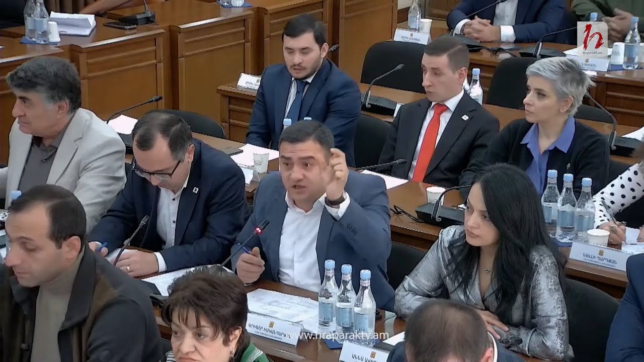 Մի ստեք քաղաքացիներին, պարոն Գրիգորյան. Ավագանու անդամ