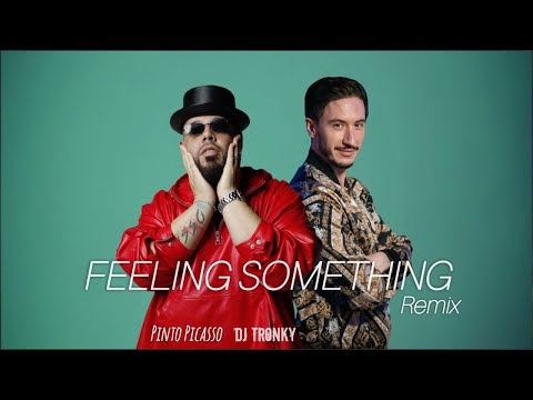 Pinto Picasso - Feeling Something (DJ Tronky Remix)