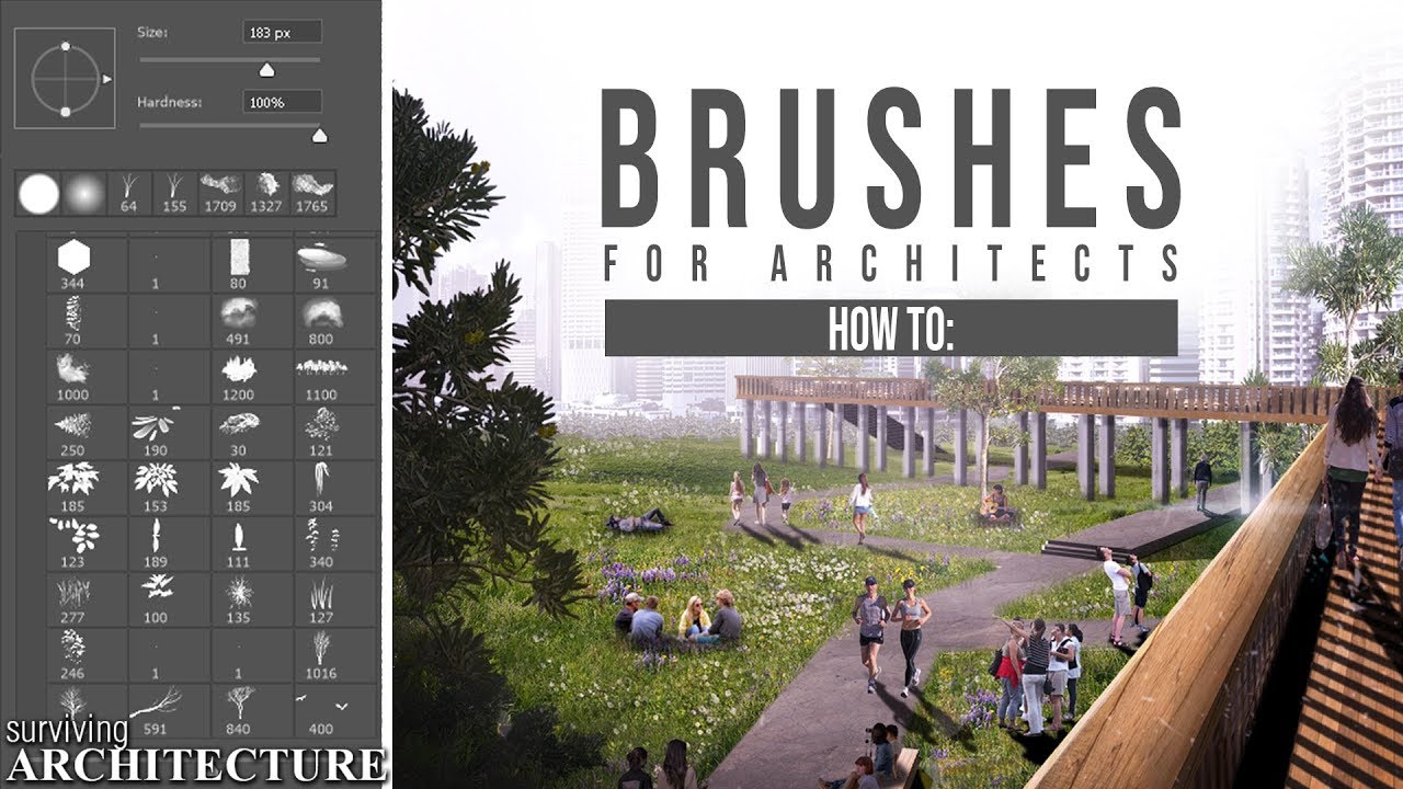 Archi Path YouTube Video
