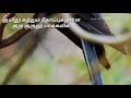 Athamaga Unna Nenachi Female Voice Nice Line WhatsApp Status