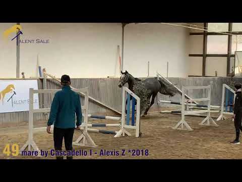 49 gelding by Cascadello I - Alexis Z 2018