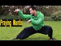 Shaolin Kung Fu Wushu Praying Mantis For Beginners Step by Step -Session 1